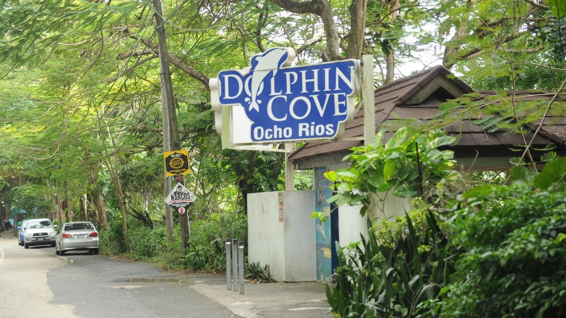 Aileen Palm Cove Ja Ocho Rios Guest house